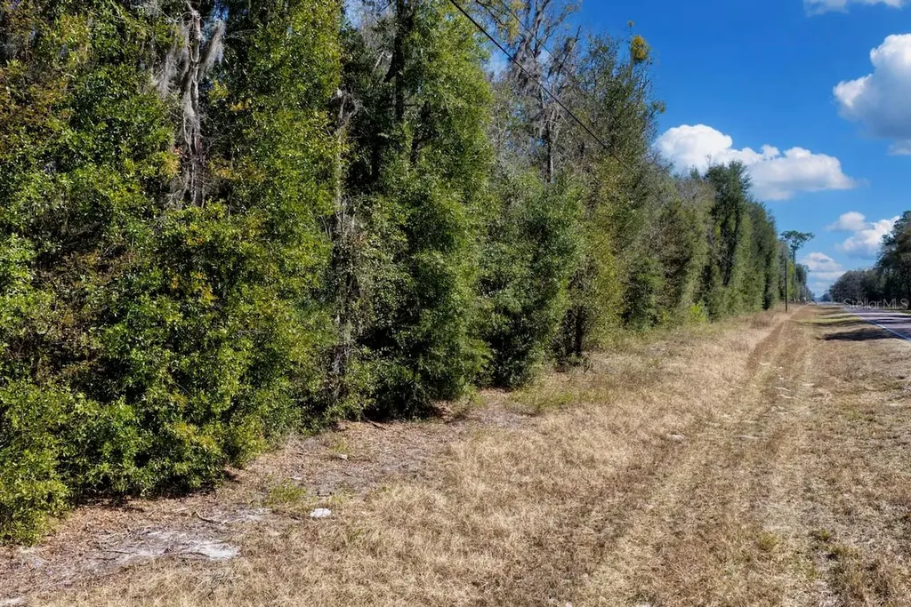 Cr 339 NW Trenton FL 32693