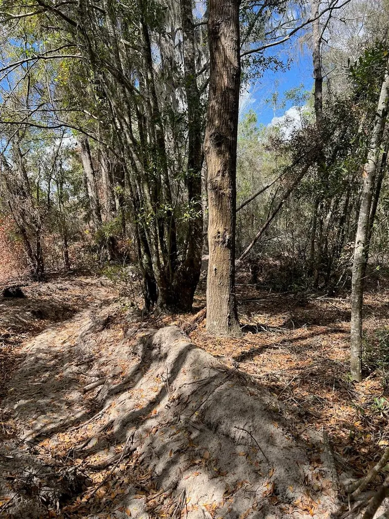 Cr 339 NW Trenton FL 32693