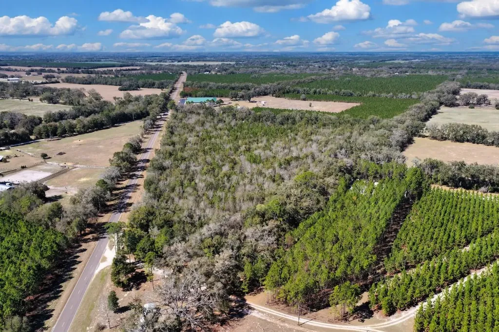 Cr 339 NW Trenton FL 32693