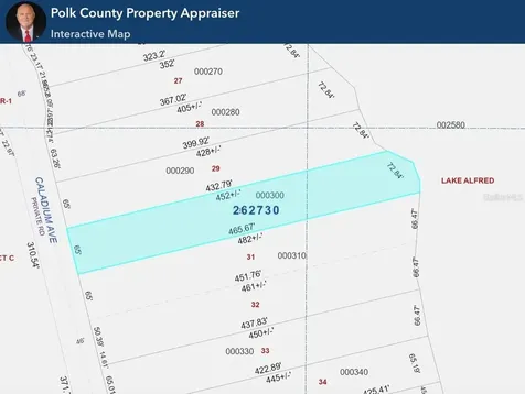 328 Caladium Avenue Lake Alfred FL 33850