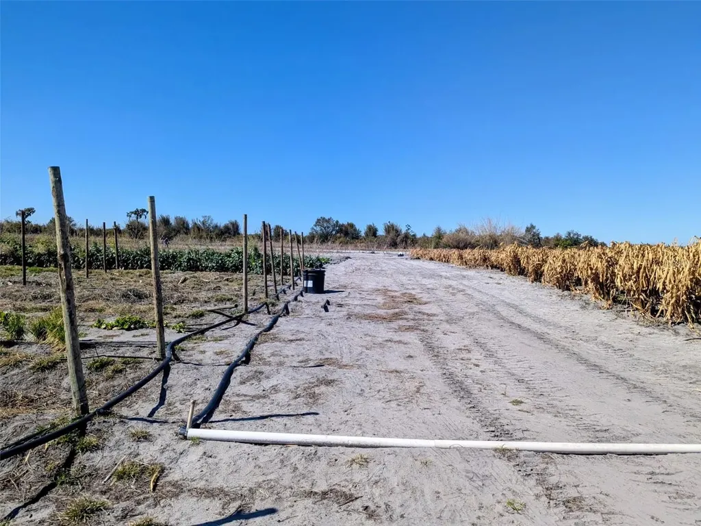 46683 Peeples Lane Wauchula FL 33873
