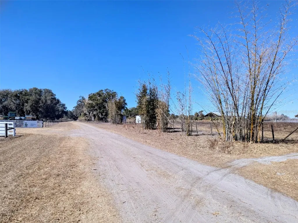 46683 Peeples Lane Wauchula FL 33873