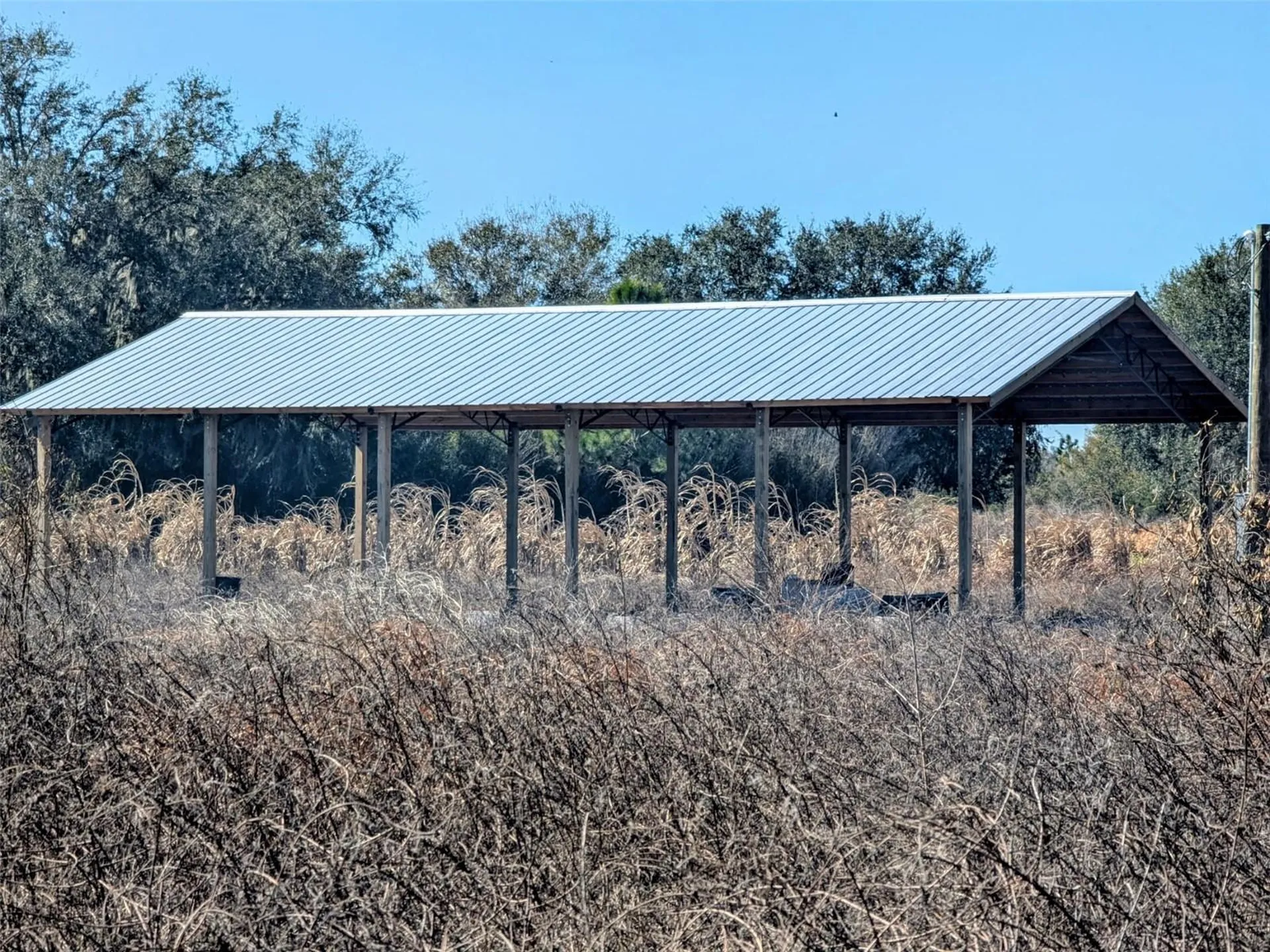 46683 Peeples Lane Wauchula FL 33873