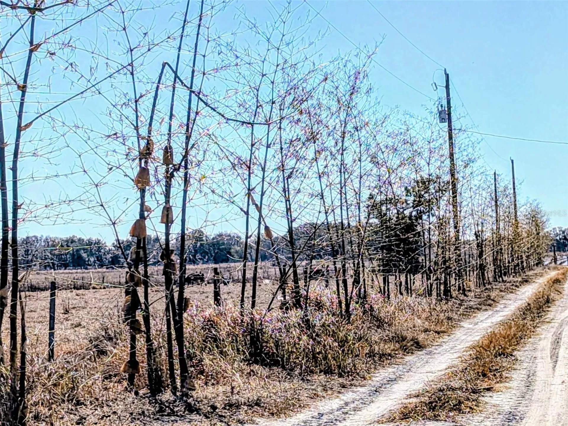 46683 Peeples Lane Wauchula FL 33873