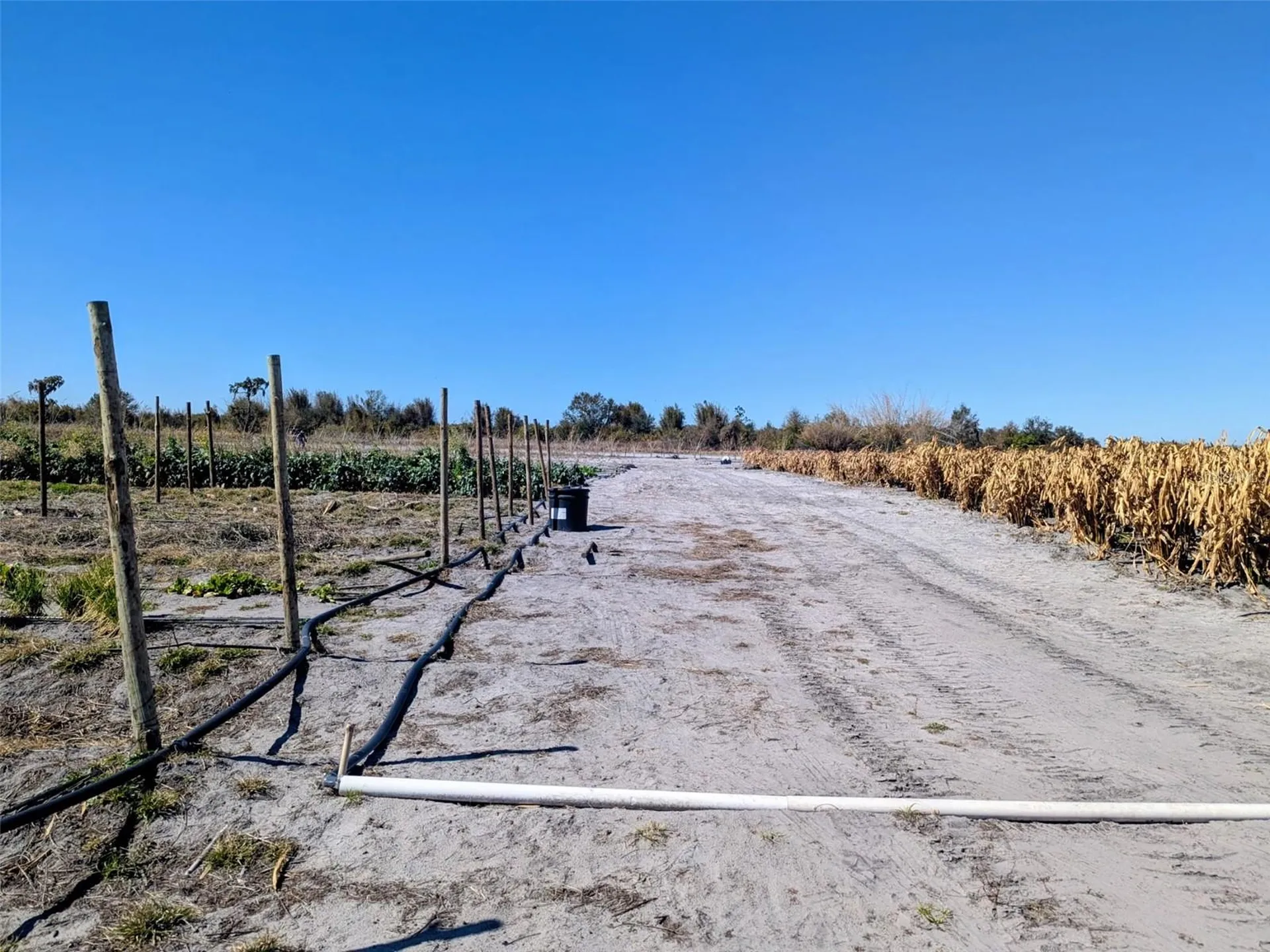 46683 Peeples Lane Wauchula FL 33873