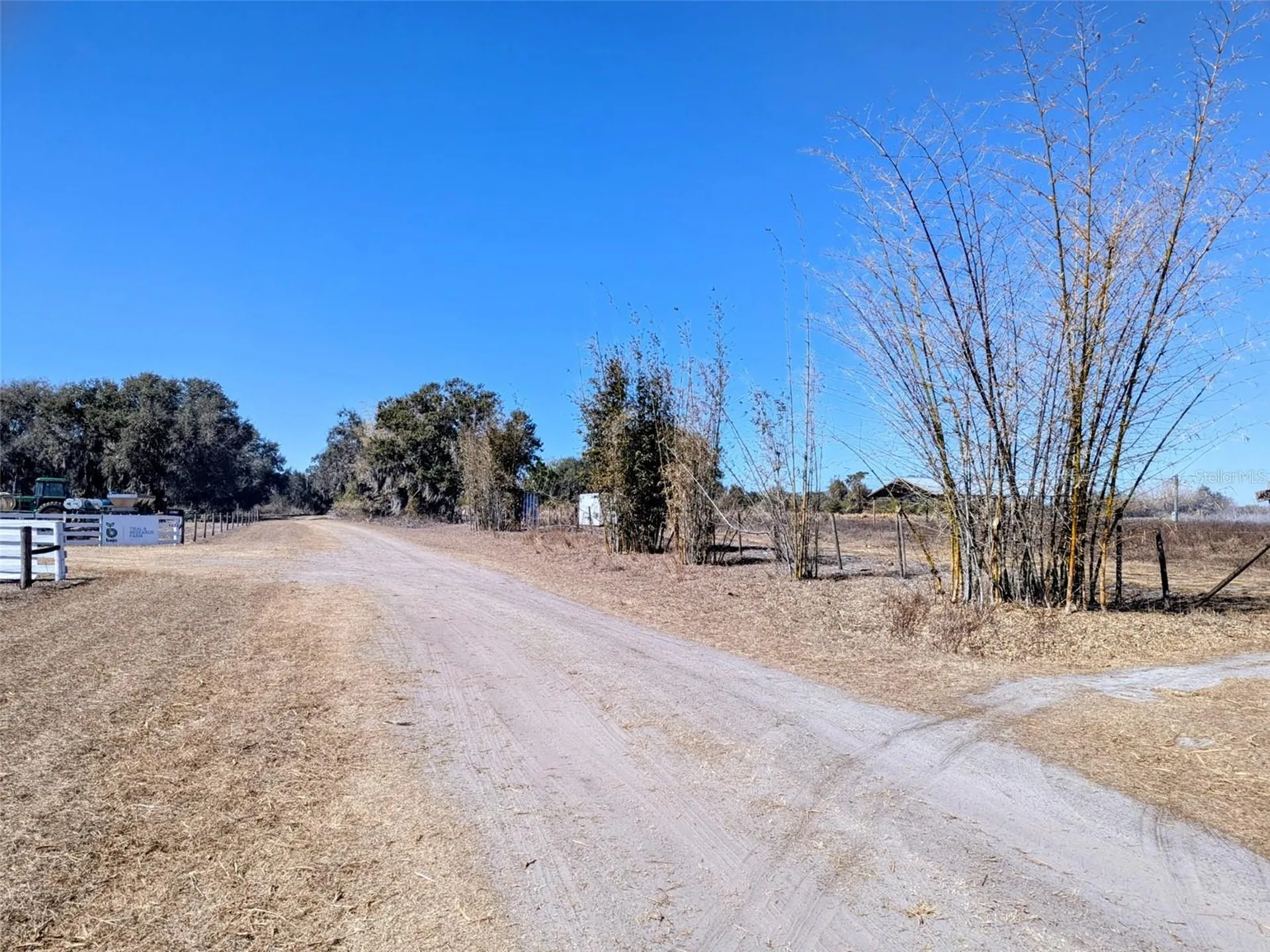 46683 Peeples Lane Wauchula FL 33873