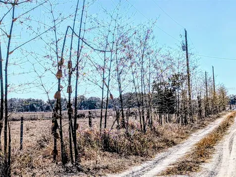 46683 Peeples Lane Wauchula FL 33873