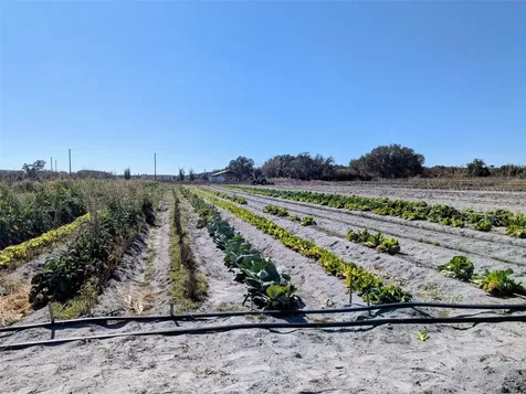 46683 Peeples Lane Wauchula FL 33873