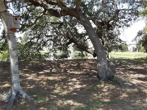 5619 Colonial Oaks Boulevard Sarasota FL 34232