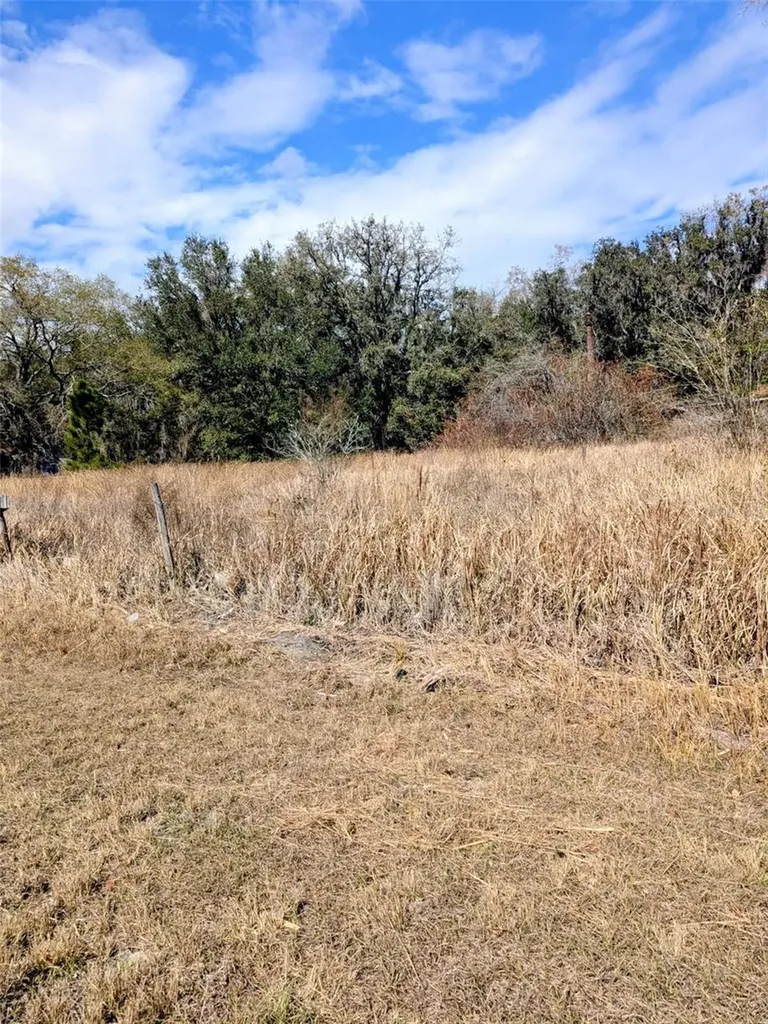 1142 Doc Coil Road Bowling Green FL 33834