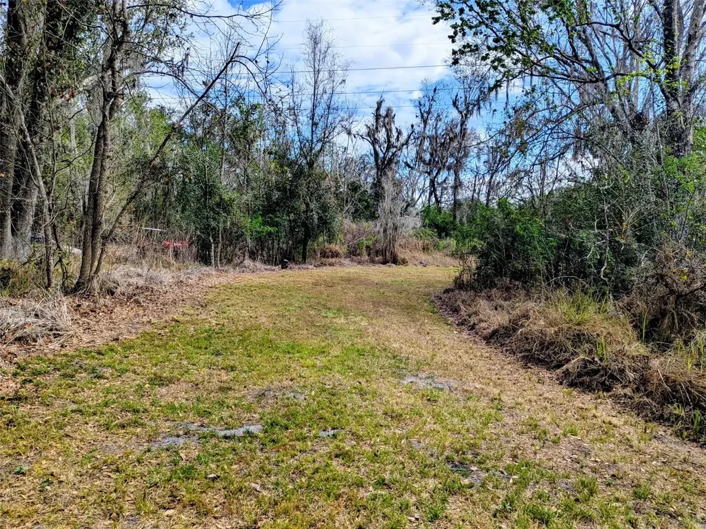 1142 Doc Coil Road Bowling Green FL 33834
