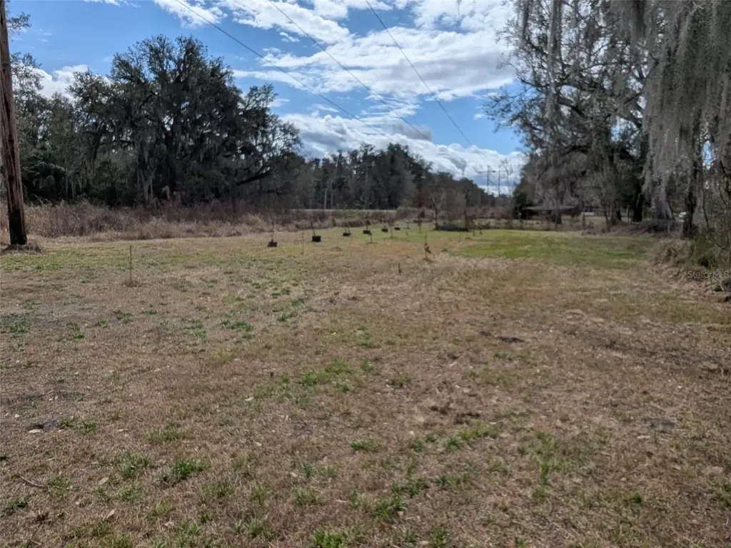 1142 Doc Coil Road Bowling Green FL 33834