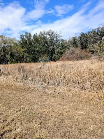 1142 Doc Coil Road Bowling Green FL 33834