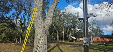 Immokalee Street Intercession City FL 33848