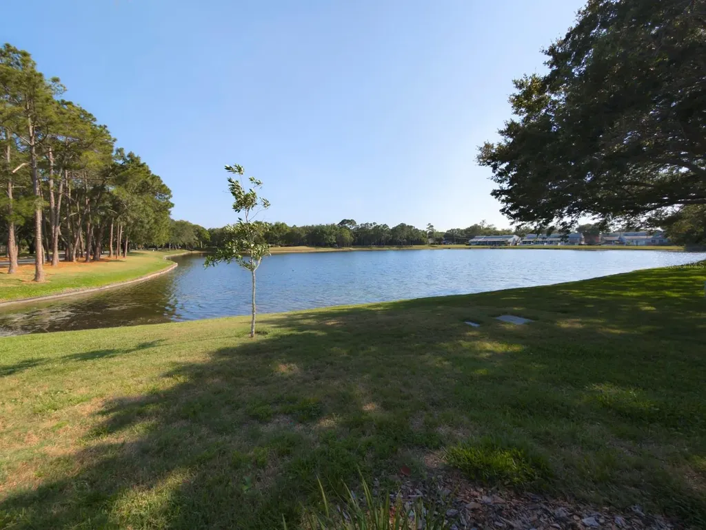 3077 Branch Drive Clearwater FL 33760