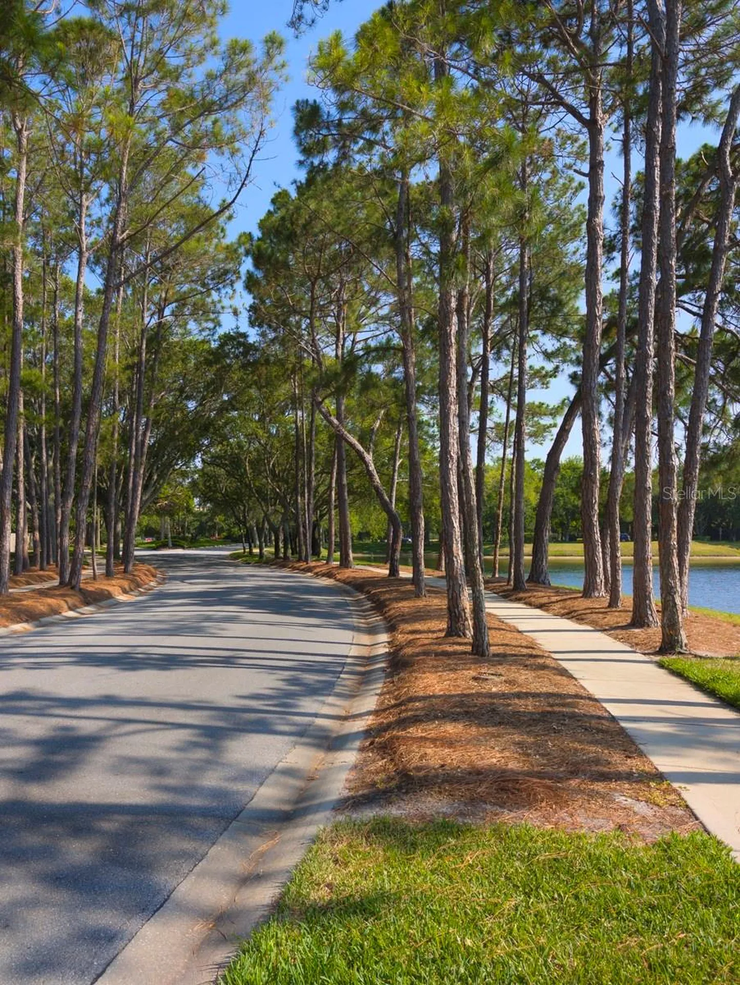 3077 Branch Drive Clearwater FL 33760