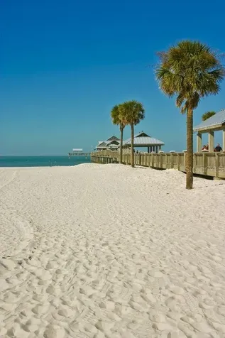 3077 Branch Drive Clearwater FL 33760