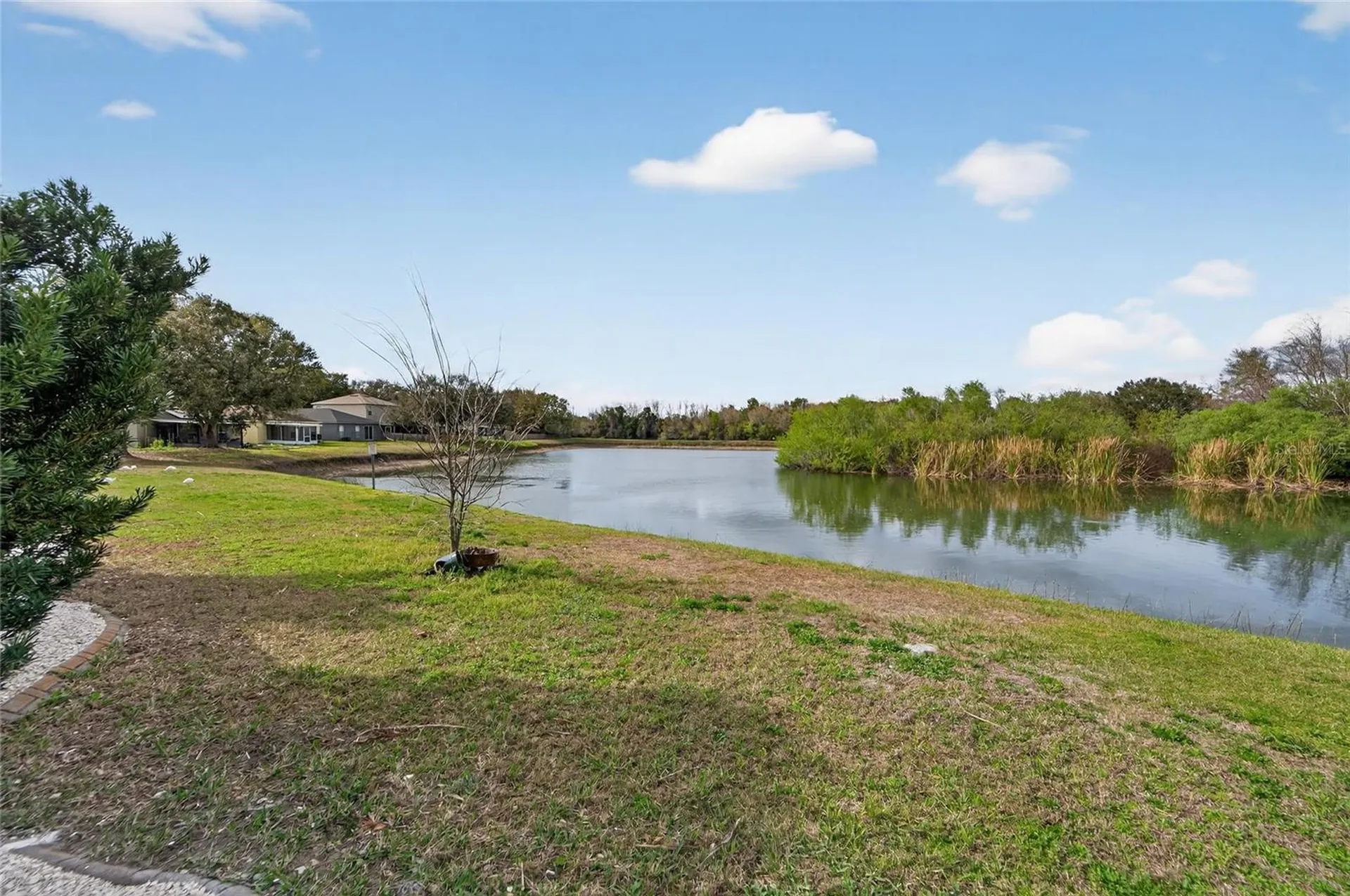 1112 Lake Shore Ranch Drive Seffner FL 33584