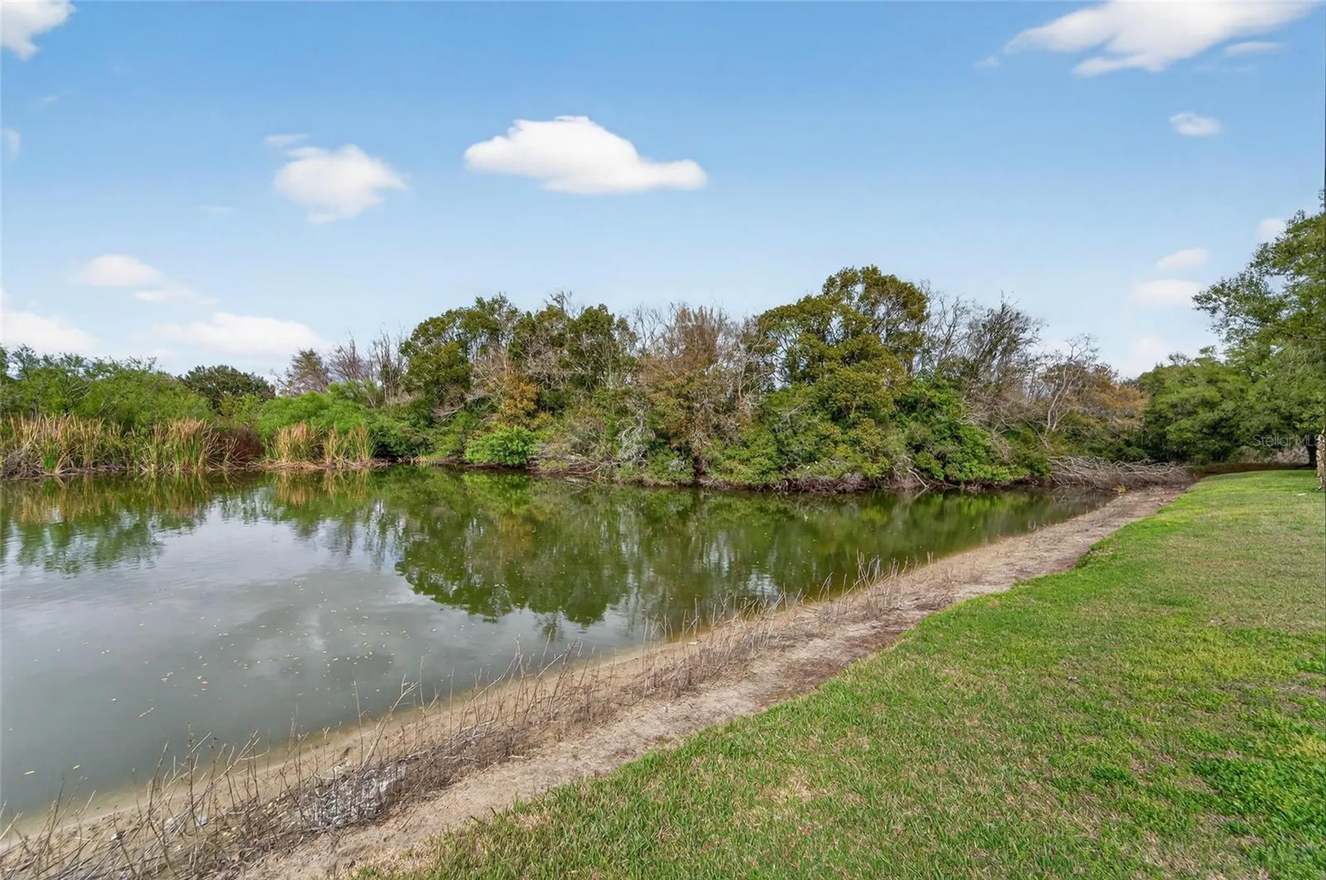 1112 Lake Shore Ranch Drive Seffner FL 33584