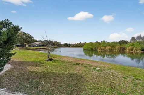 1112 Lake Shore Ranch Drive Seffner FL 33584