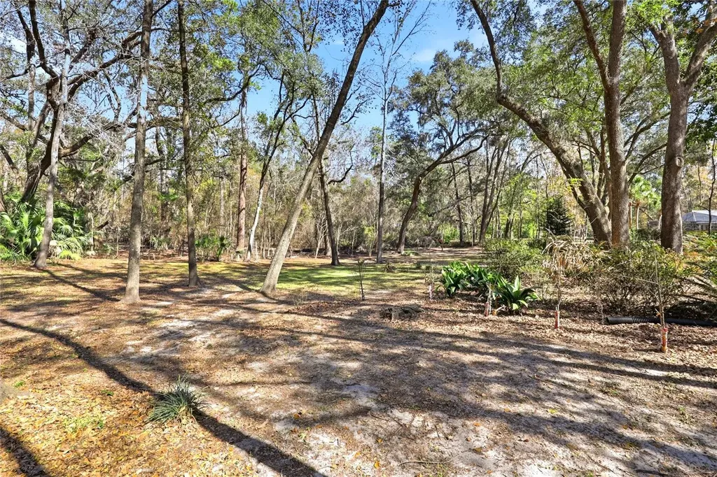 10320 SW 17th Place Gainesville FL 32607