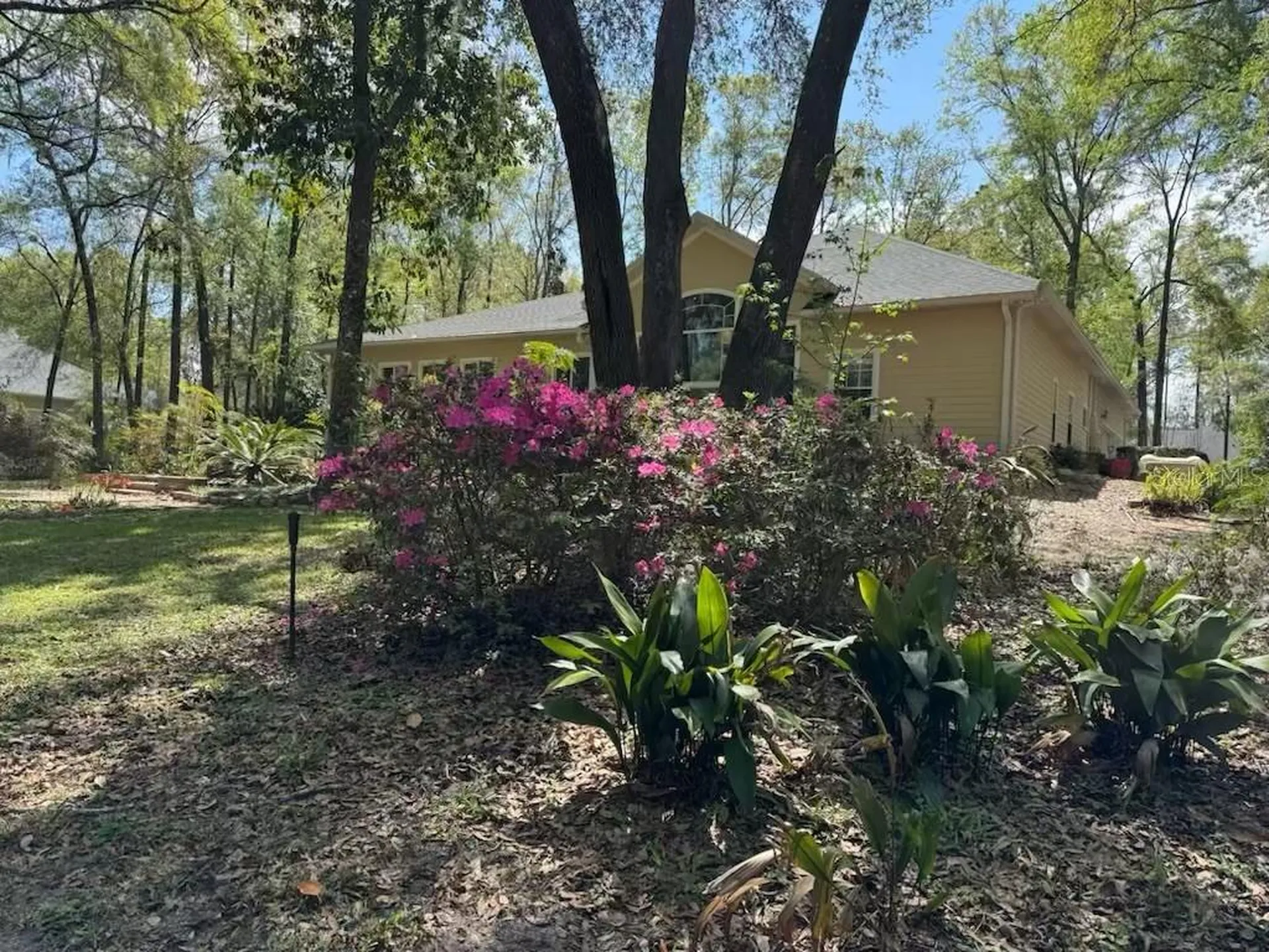 10320 SW 17th Place Gainesville FL 32607