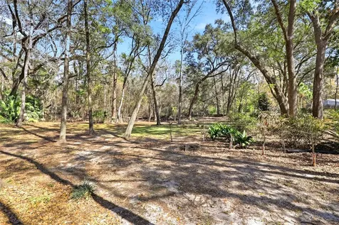 10320 SW 17th Place Gainesville FL 32607