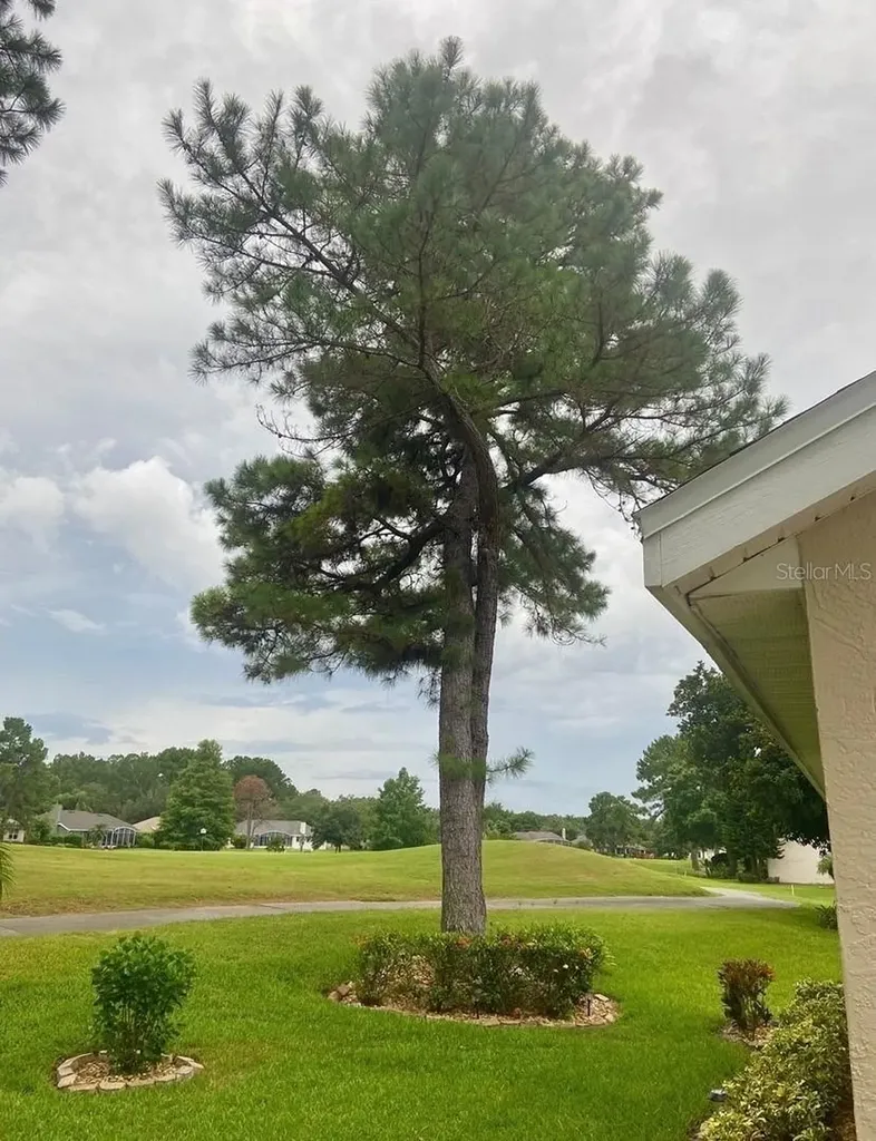 1824 Stafford Springs Boulevard Mount Dora FL 32757
