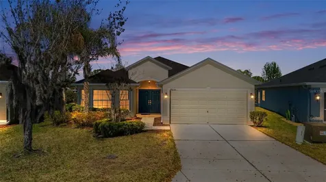 29232 Coharie Loop San Antonio FL 33576