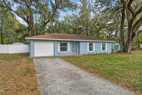 42210 W Lakeview Drive Altoona FL 32702