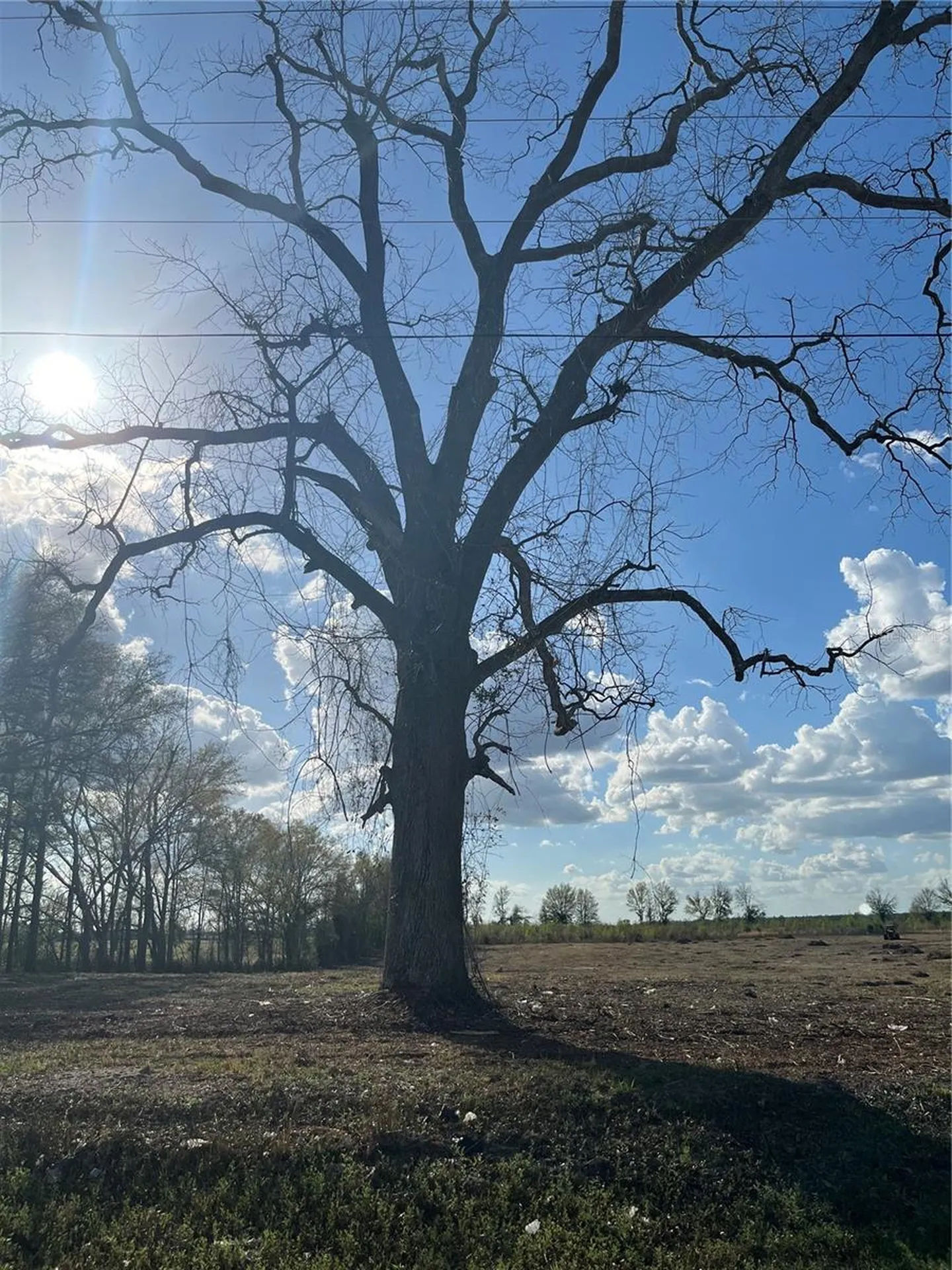 Tbd 185th Road Live Oak FL 32060