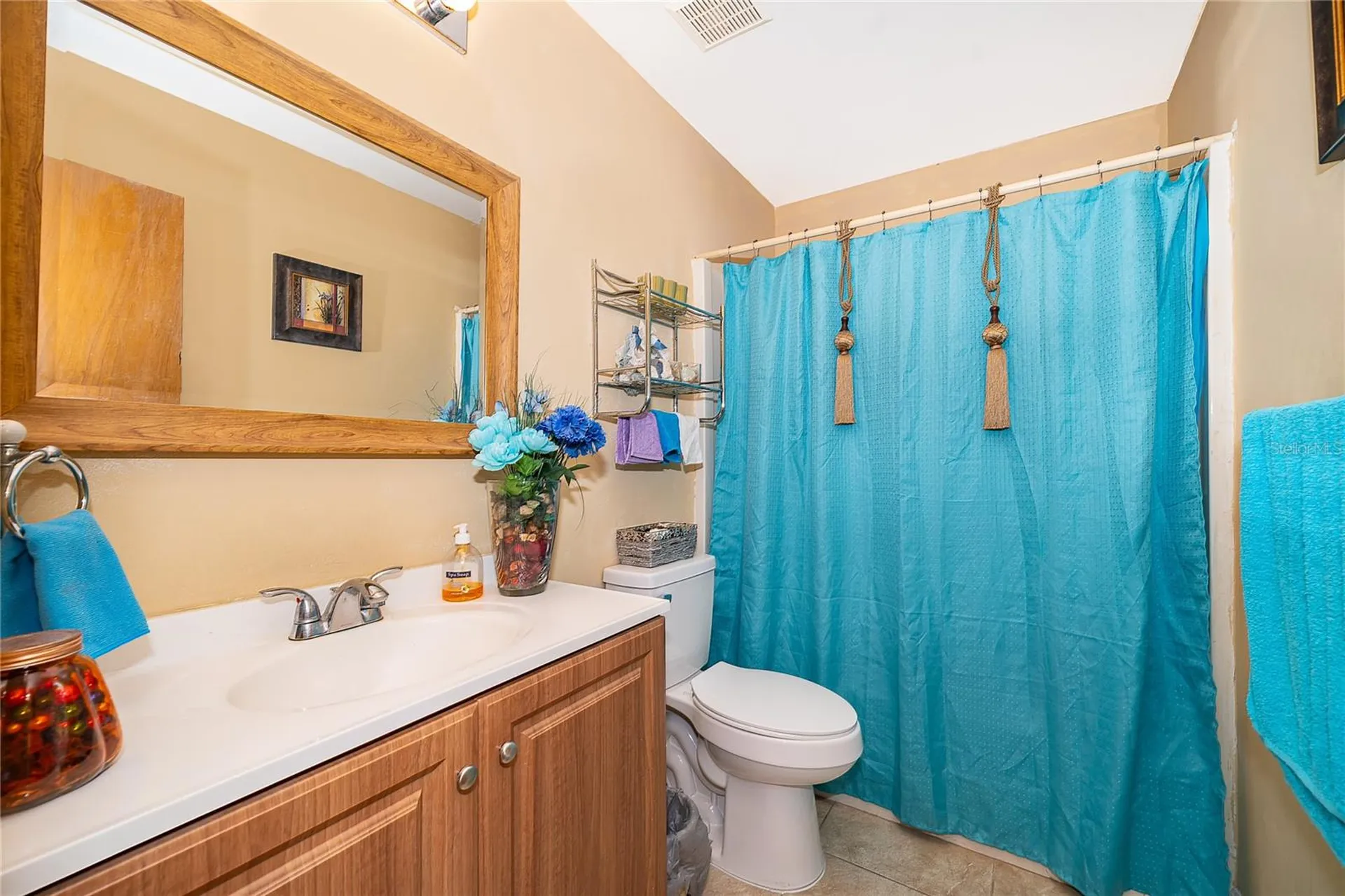 2123 Street Marteen Court Kissimmee FL 34741