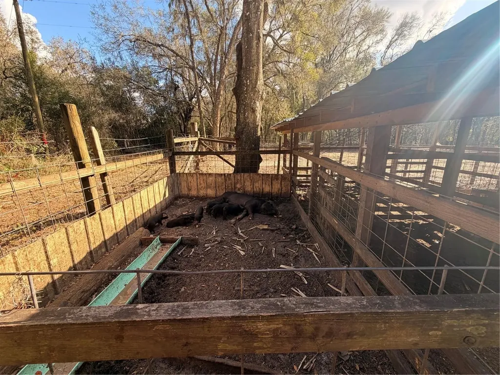 25408 Oneal Road Brooksville FL 34601