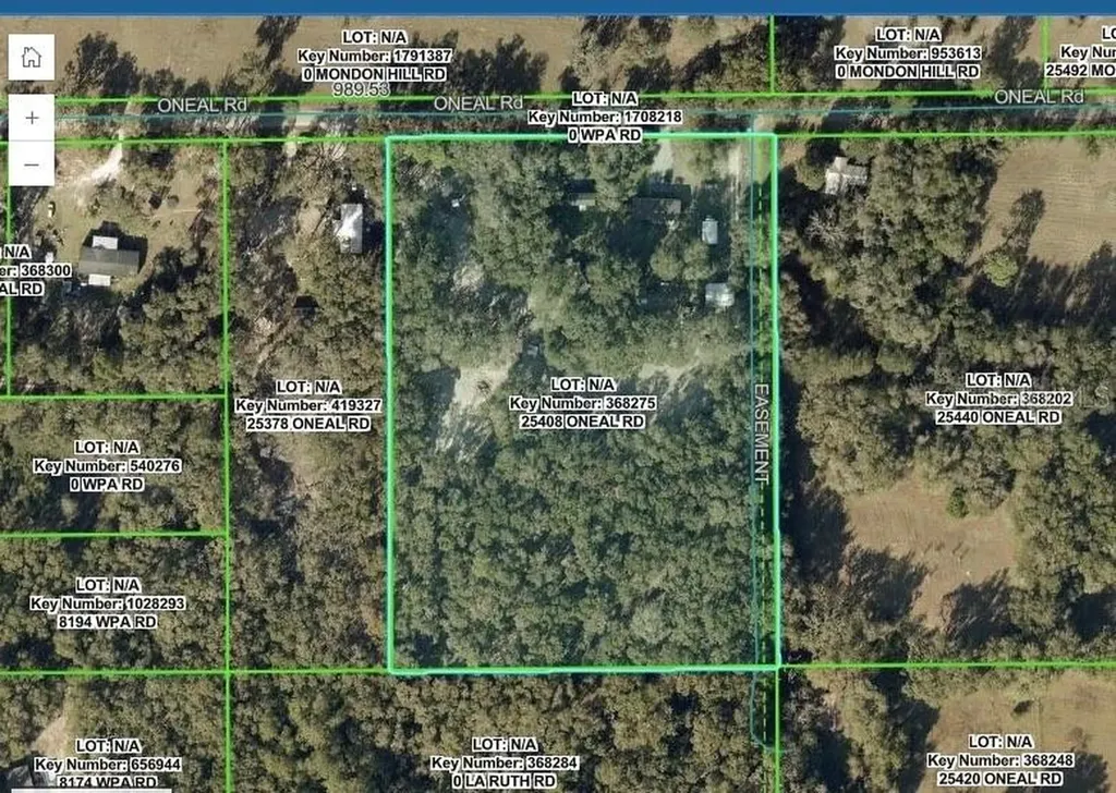 25408 Oneal Road Brooksville FL 34601