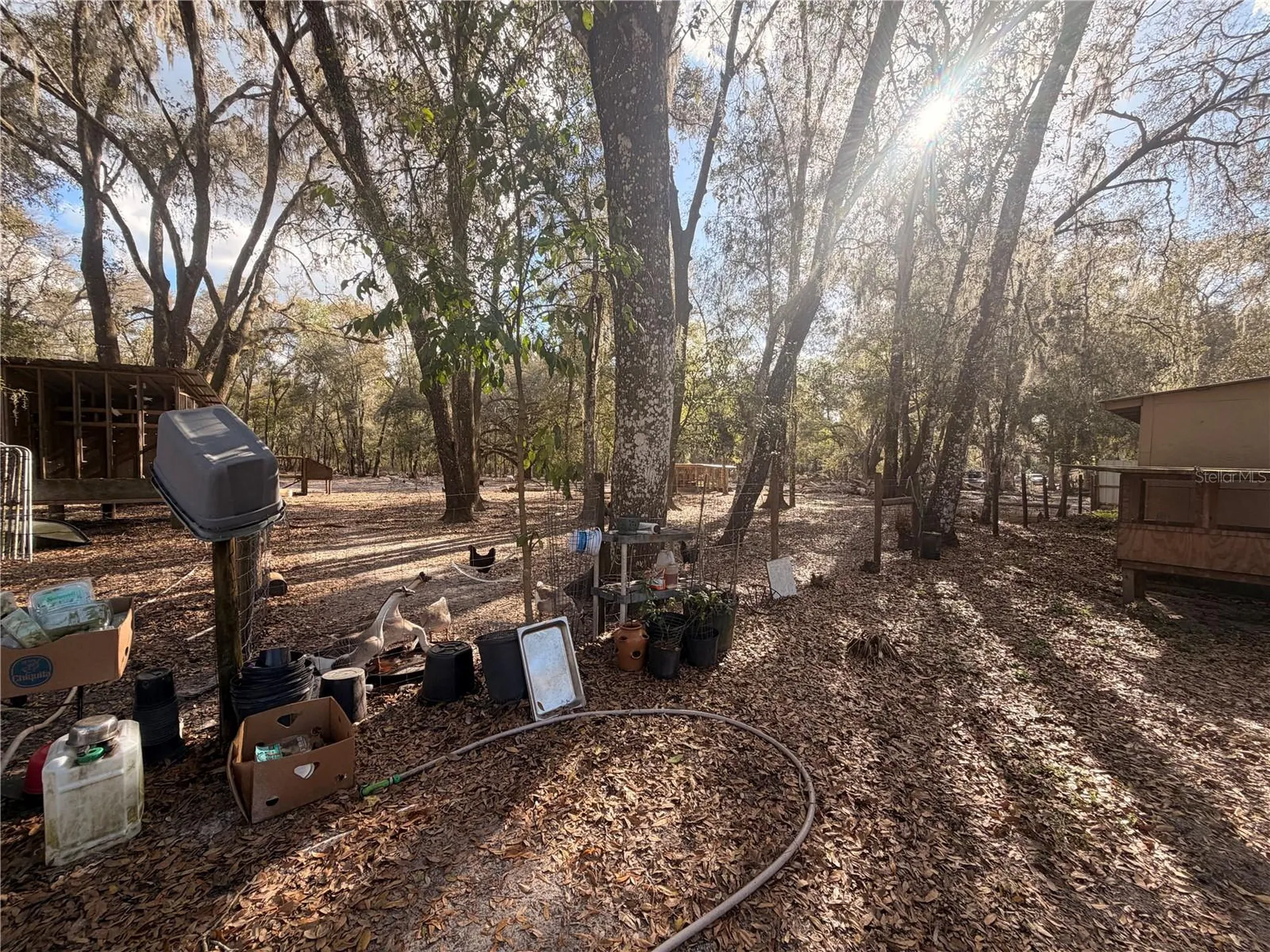 25408 Oneal Road Brooksville FL 34601