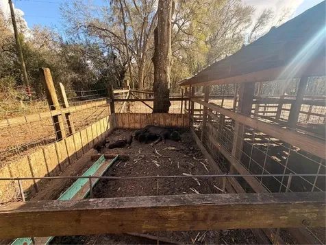 25408 Oneal Road Brooksville FL 34601