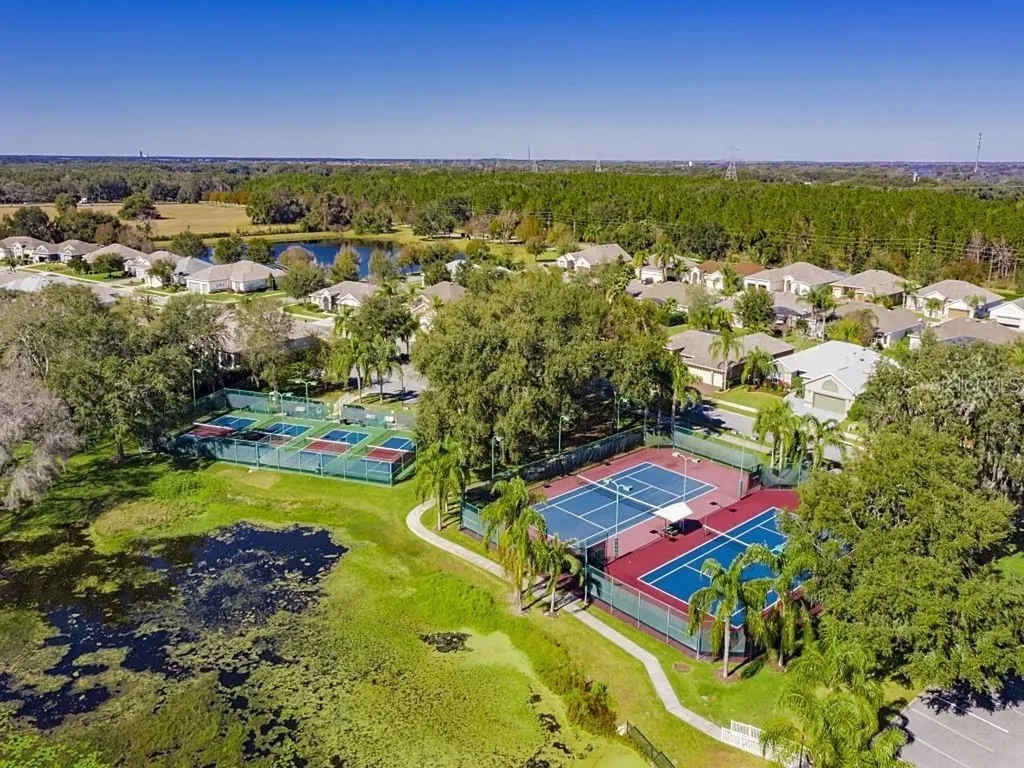 25312 Green Heron Drive Leesburg FL 34748