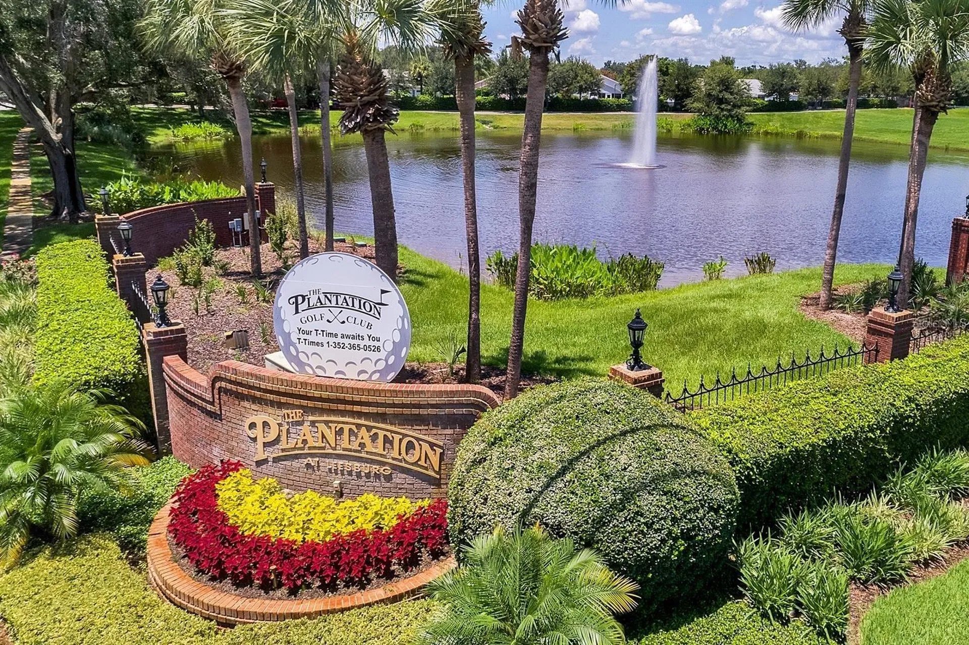 25312 Green Heron Drive Leesburg FL 34748