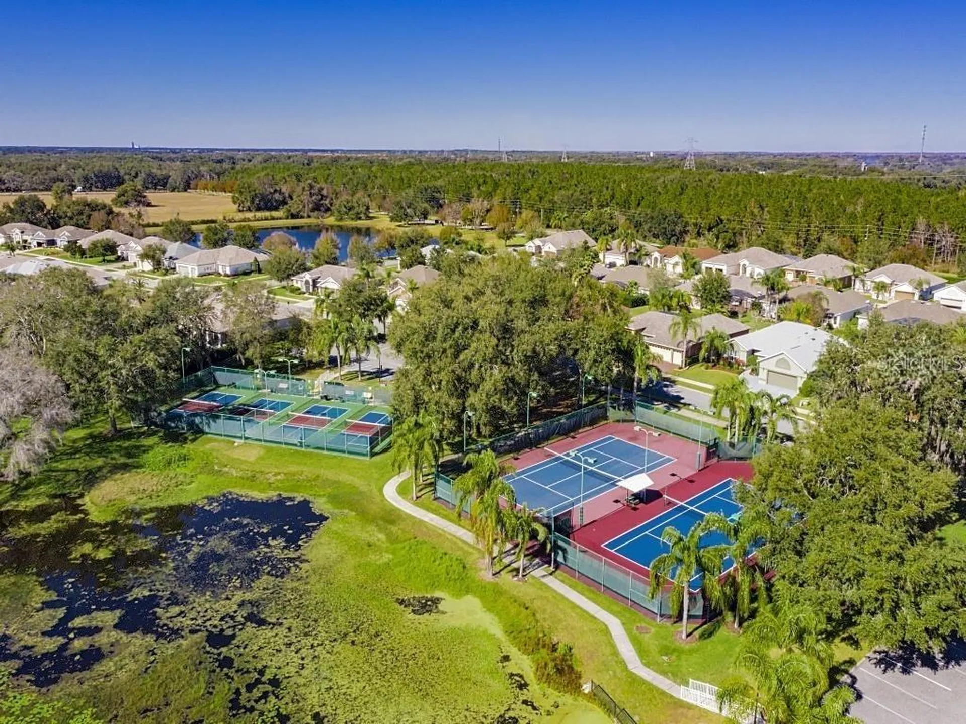 25312 Green Heron Drive Leesburg FL 34748