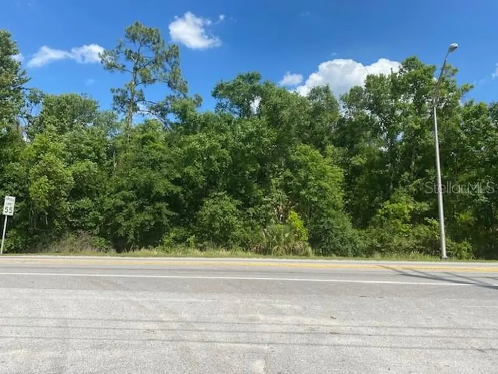 Highway 17 92 N Davenport FL 33837