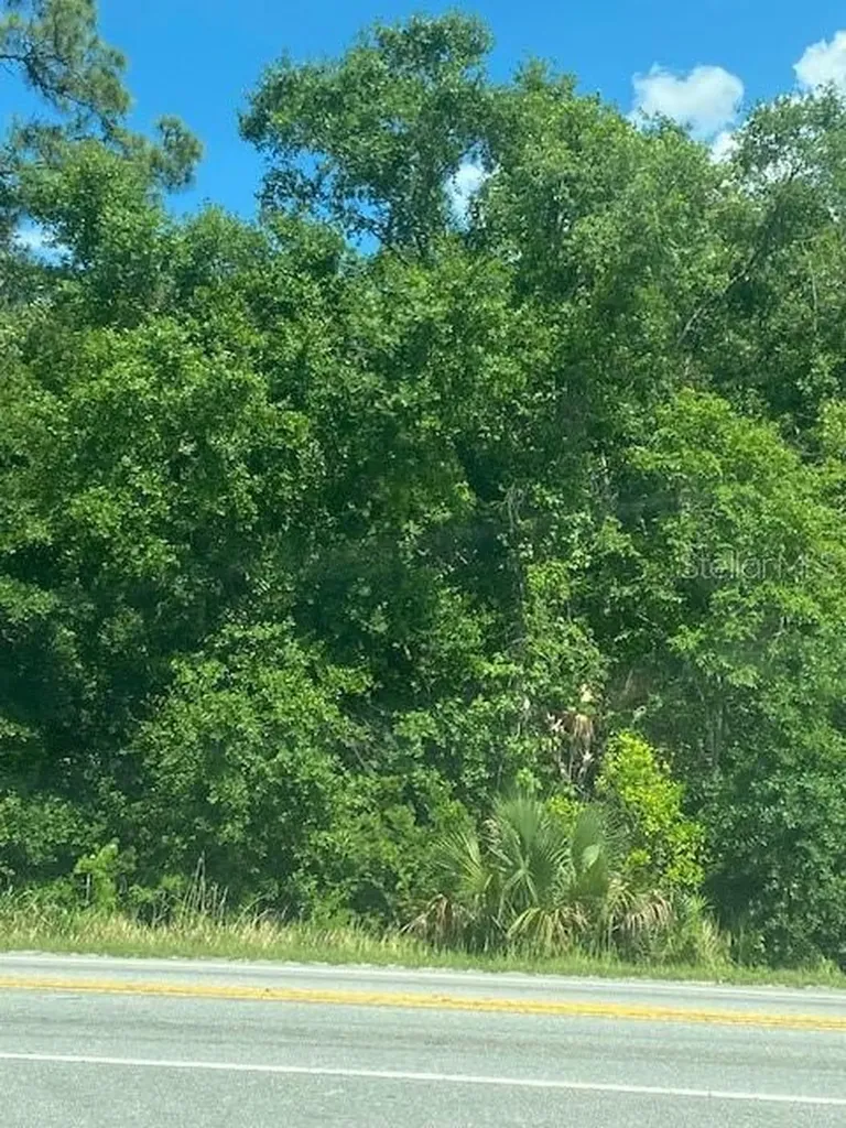 Highway 17 92 N Davenport FL 33837