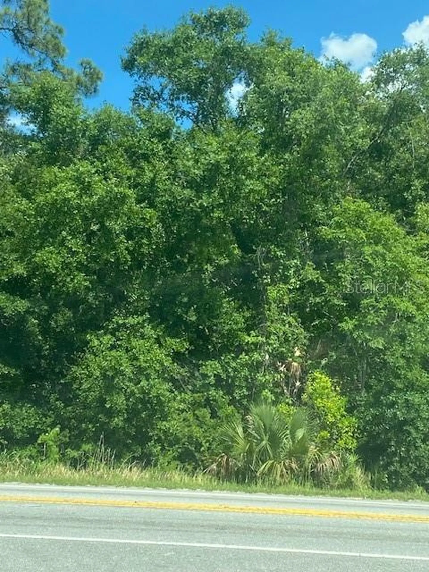 Highway 17 92 N Davenport FL 33837