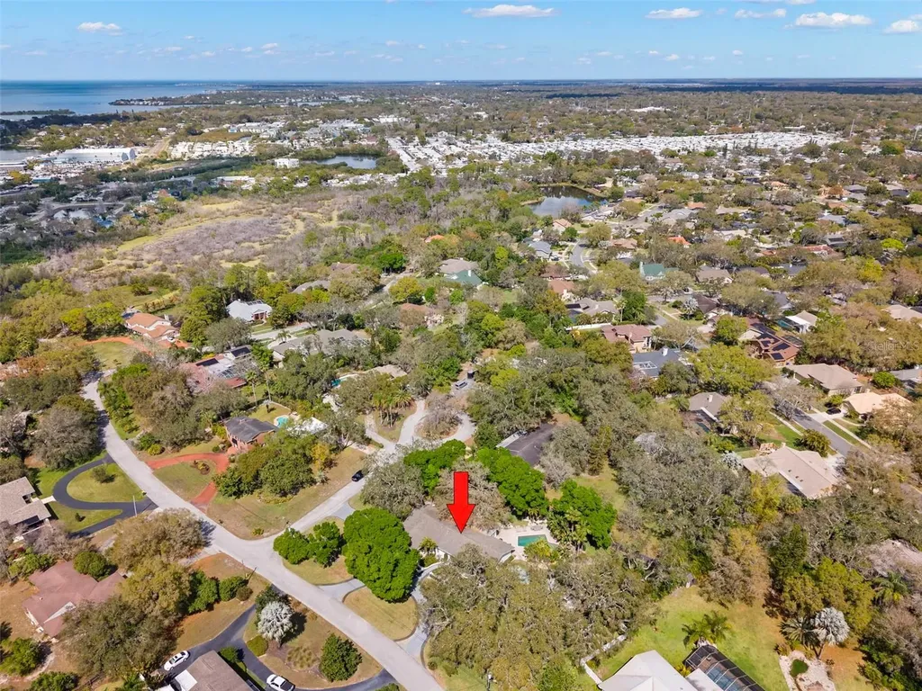 11 Birdie Lane Palm Harbor FL 34683