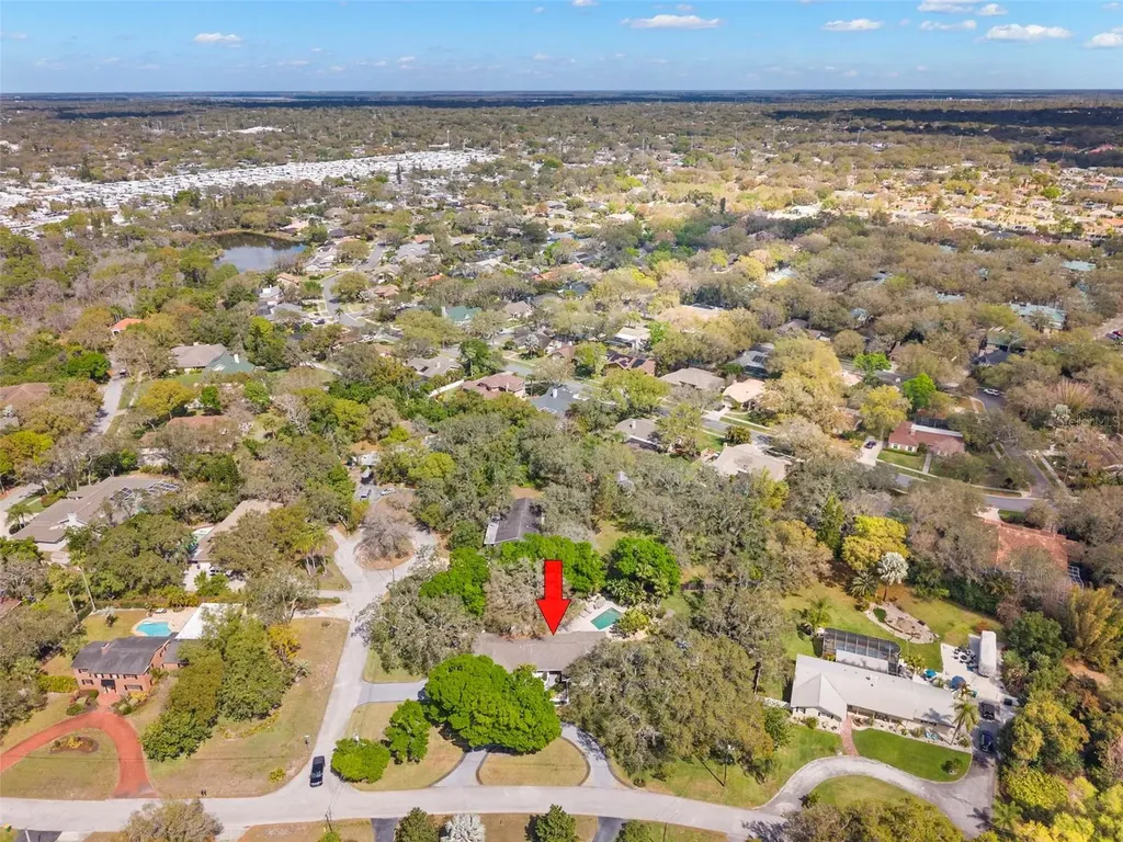 11 Birdie Lane Palm Harbor FL 34683