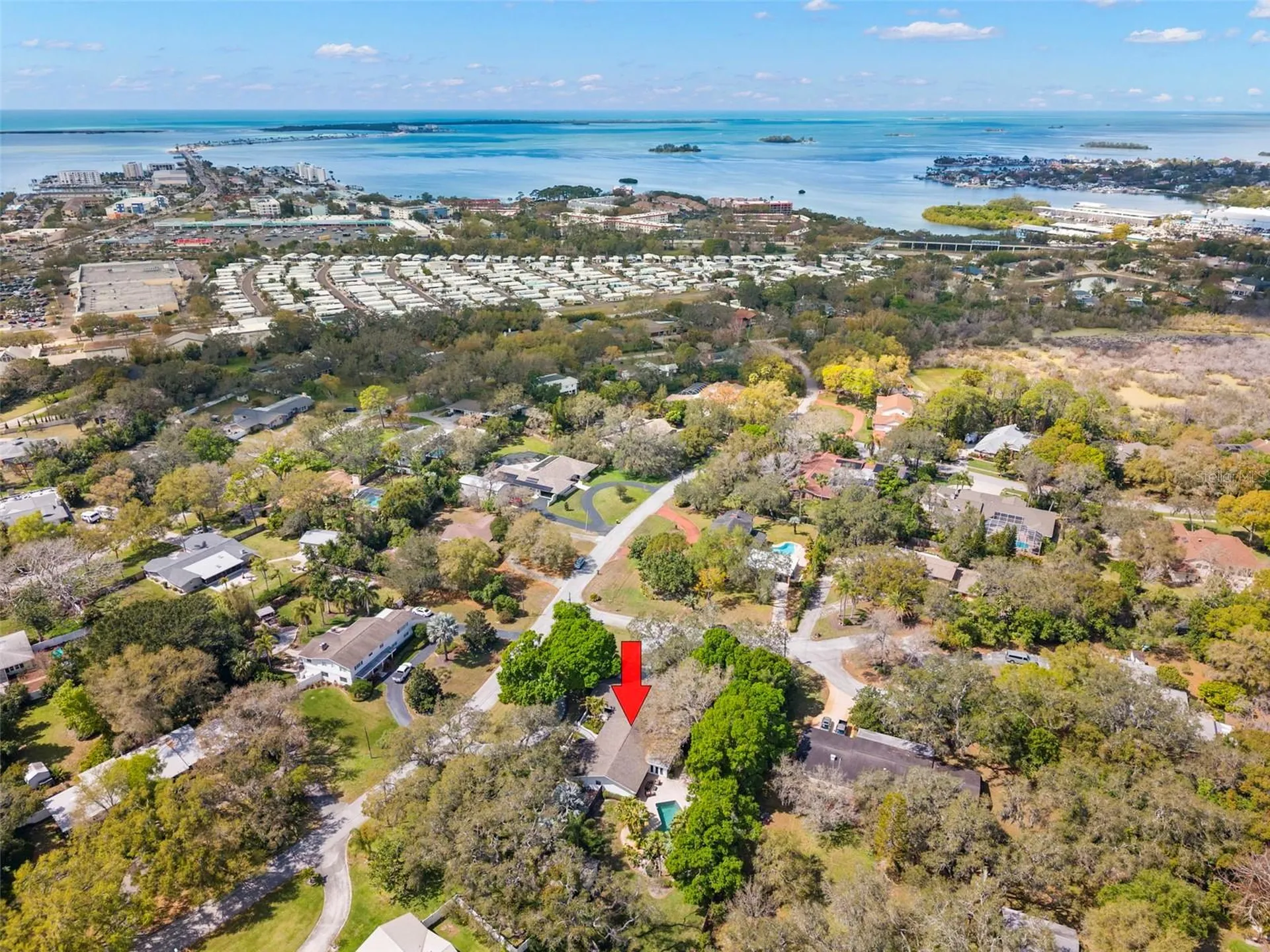 11 Birdie Lane Palm Harbor FL 34683