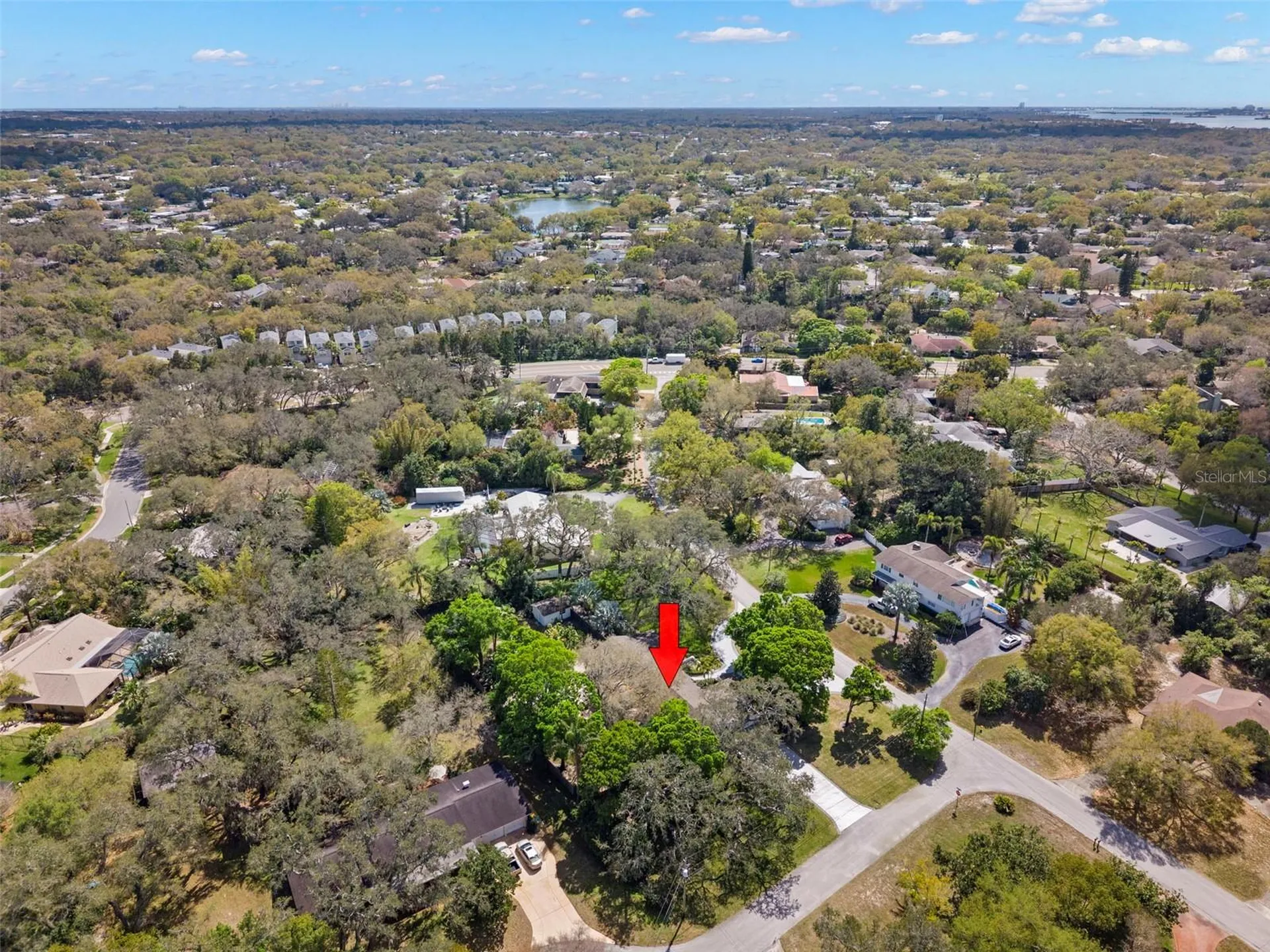 11 Birdie Lane Palm Harbor FL 34683