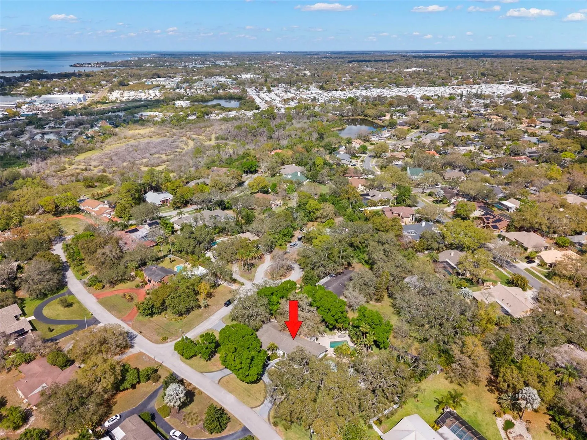 11 Birdie Lane Palm Harbor FL 34683