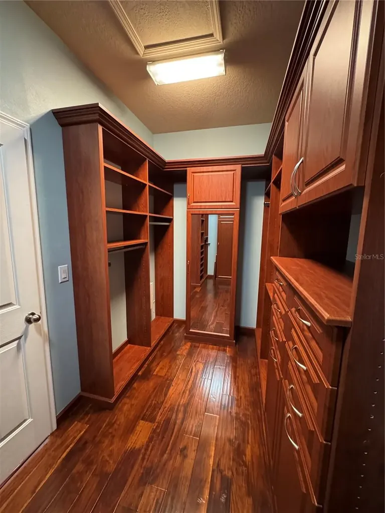 16235 Ivy Lake Drive Odessa FL 33556