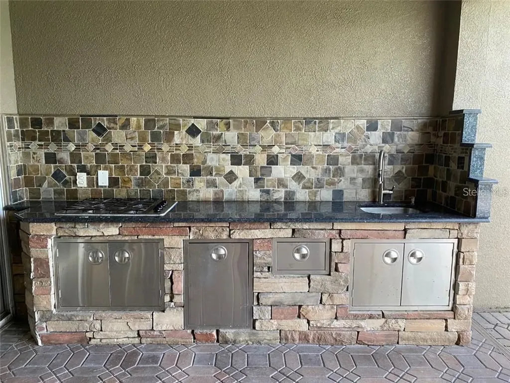 16235 Ivy Lake Drive Odessa FL 33556