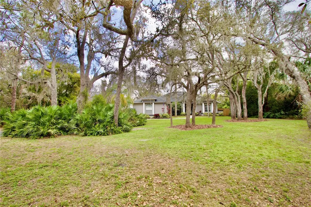 2920 Meadowood Drive New Port Richey FL 34655